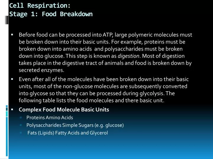 cell respiration stage 1 food breakdown