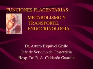 funciones placentarias metabolismo y transporte endocrinologia