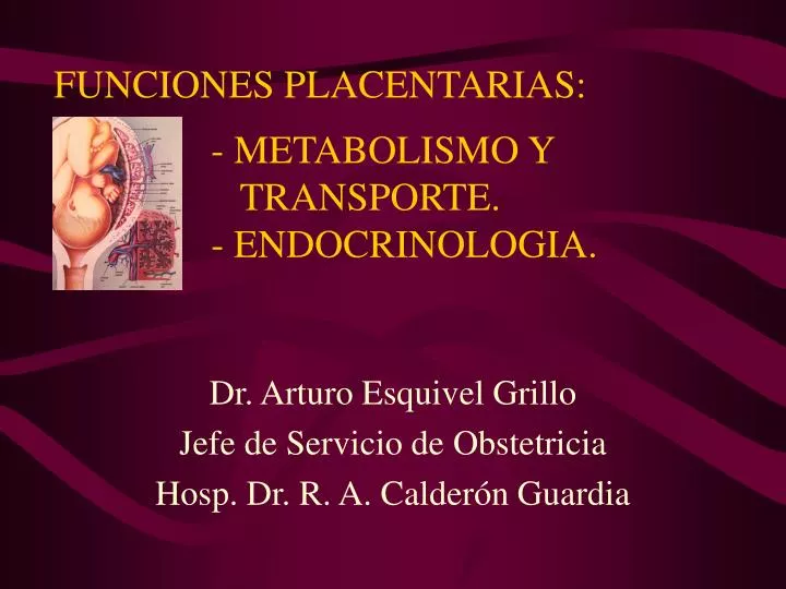 funciones placentarias metabolismo y transporte endocrinologia