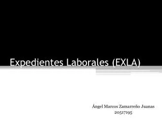 expedientes laborales exla