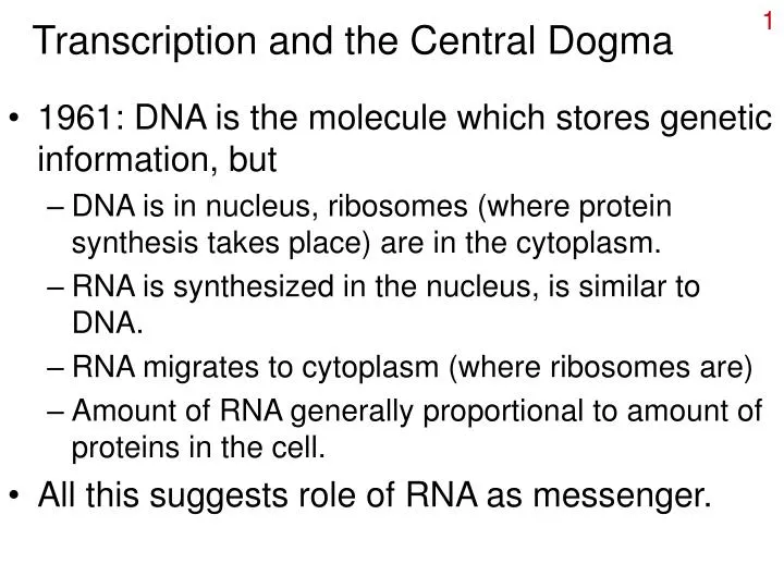 transcription and the central dogma