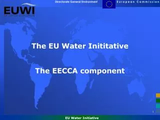 The EU Water Inititative The EECCA component