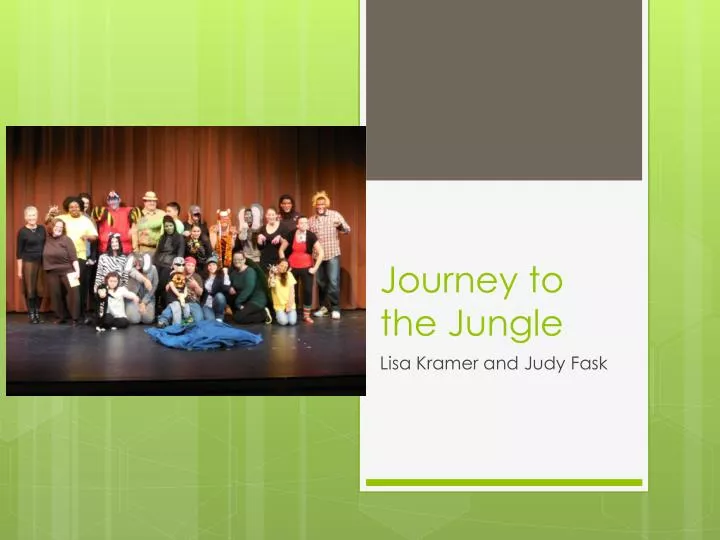 journey to the jungle