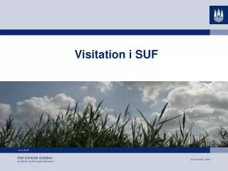 visitation i suf