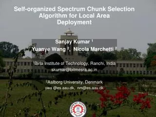 Self-organized Spectrum Chunk Selection Algorithm for Local Area Deployment