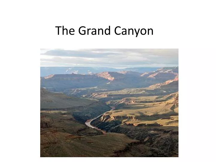 the grand canyon