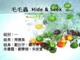 h ide seek