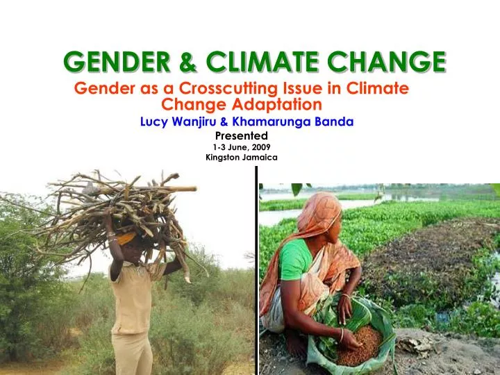 gender climate change
