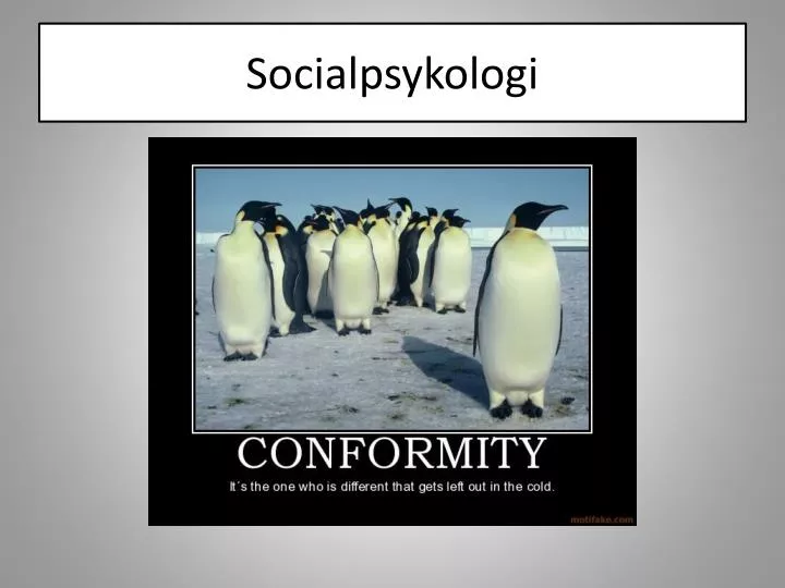 socialpsykologi