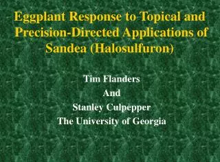 Eggplant Response to Topical and Precision-Directed Applications of Sandea (Halosulfuron)