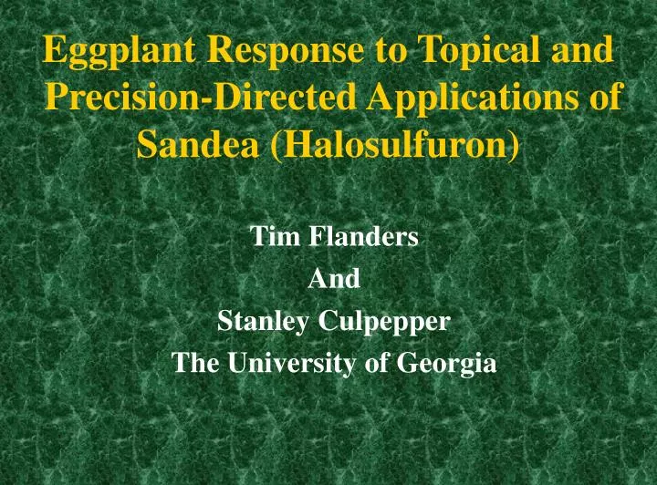 eggplant response to topical and precision directed applications of sandea halosulfuron