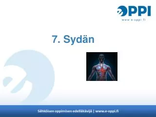 7 syd n
