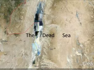 The Dead Sea