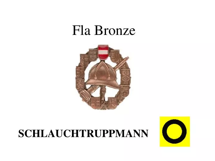 fla bronze