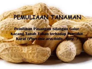 pemuliaan tanaman