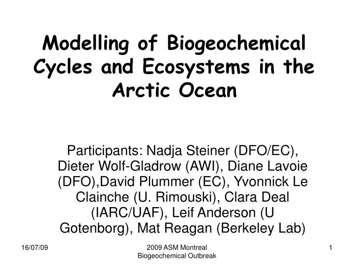 modelling of biogeochemical cycles and ecosystems in the arctic ocean