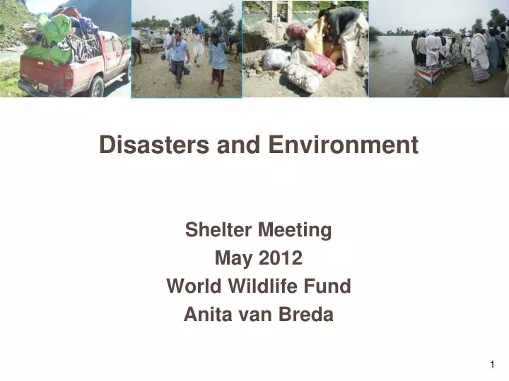 disasters and environment shelter meeting may 2012 world wildlife fund anita van breda