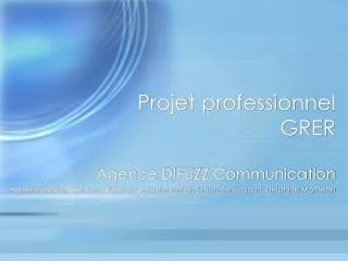 projet professionnel grer