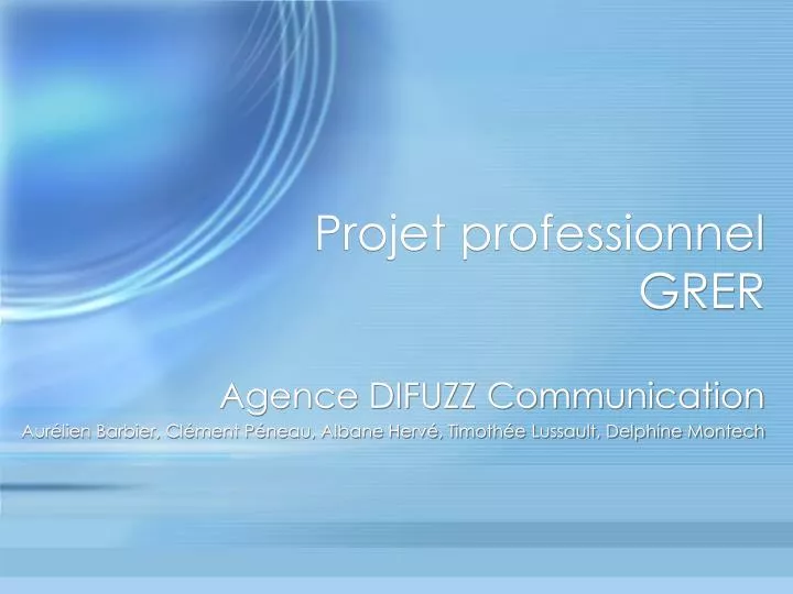 projet professionnel grer