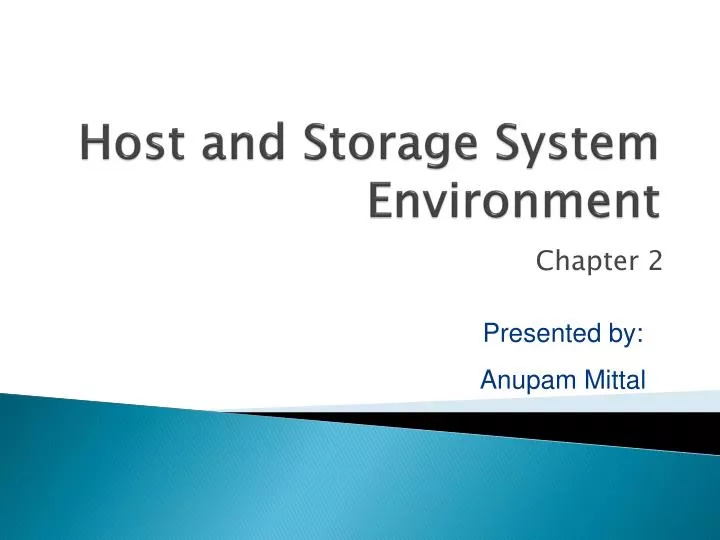 host and storage system environment