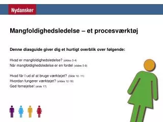 mangfoldighedsledelse et procesv rkt j