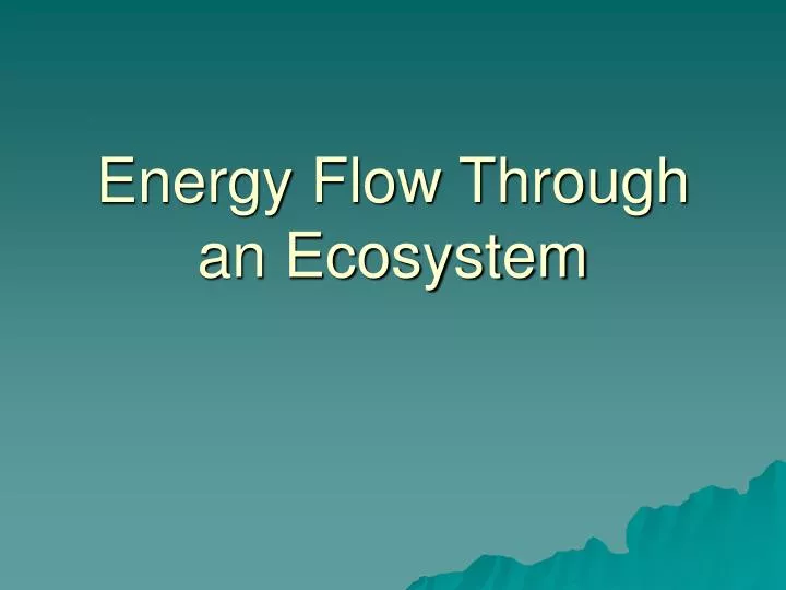 energy flow through an ecosystem