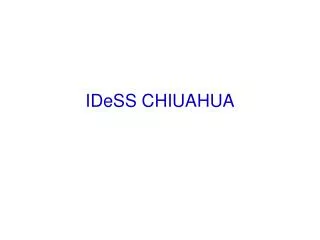 idess chiuahua