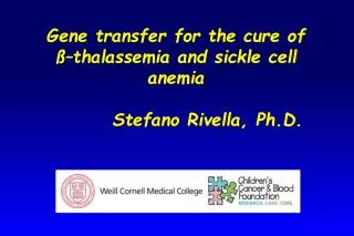 Gene transfer for the cure of ߖthalassemia and sickle cell anemia 		Stefano Rivella, Ph.D.