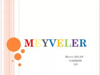 m e y v e l e r