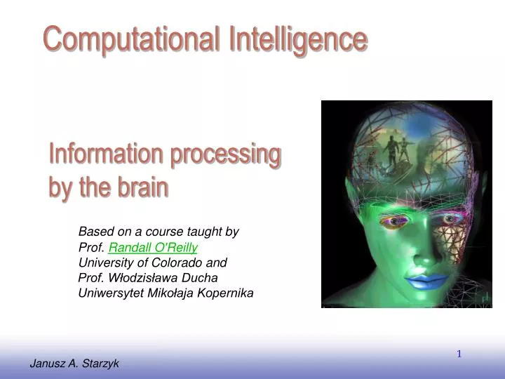 information processing by the brain