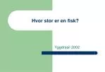 Hvor stor er en fisk? - slide 1