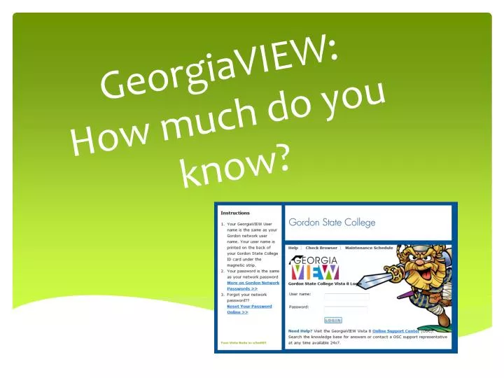 georgiaview how much do you know