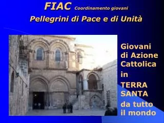 fiac coordinamento giovani pellegrini di pace e di unit