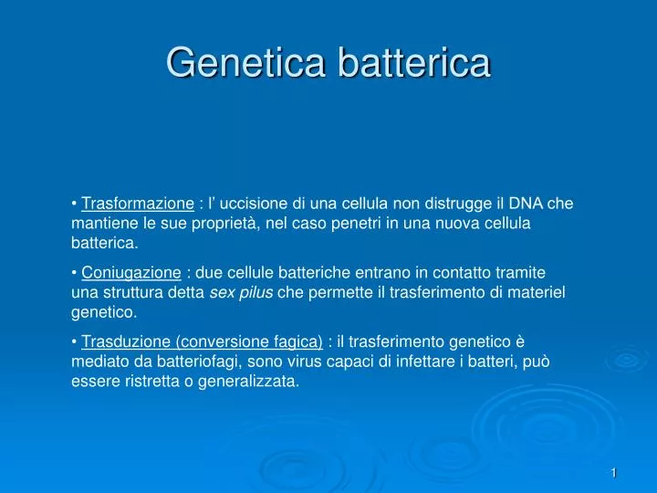 genetica batterica