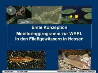 Erste Konzeption Monitoringprogramm zur WRRL in den Fließgewässern in Hessen