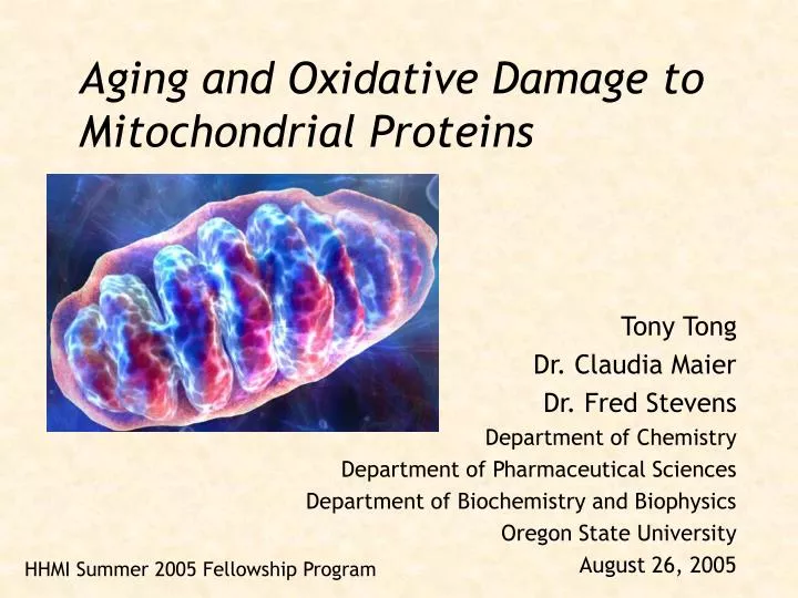 aging and oxidative damage to mitochondrial proteins