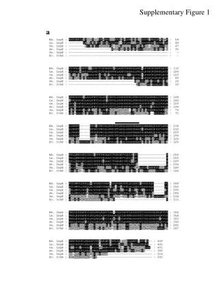 Supplementary Figure 1