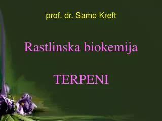 prof. dr. Samo Kreft