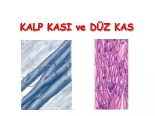 kalp kasi ve d z kas