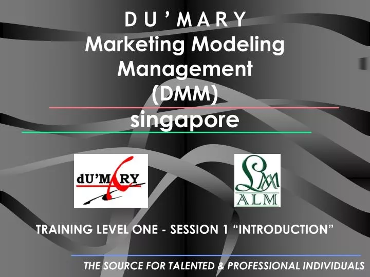 d u m a r y marketing modeling management dmm singapore