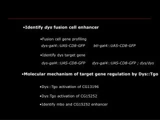 Fusion cell gene profiling