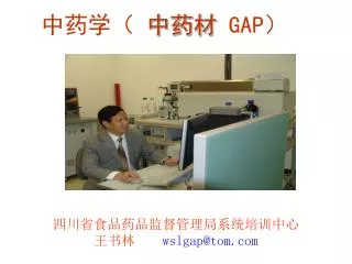 wslgap@tom com