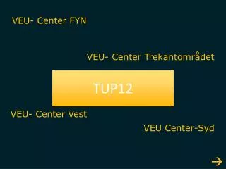 veu center fyn