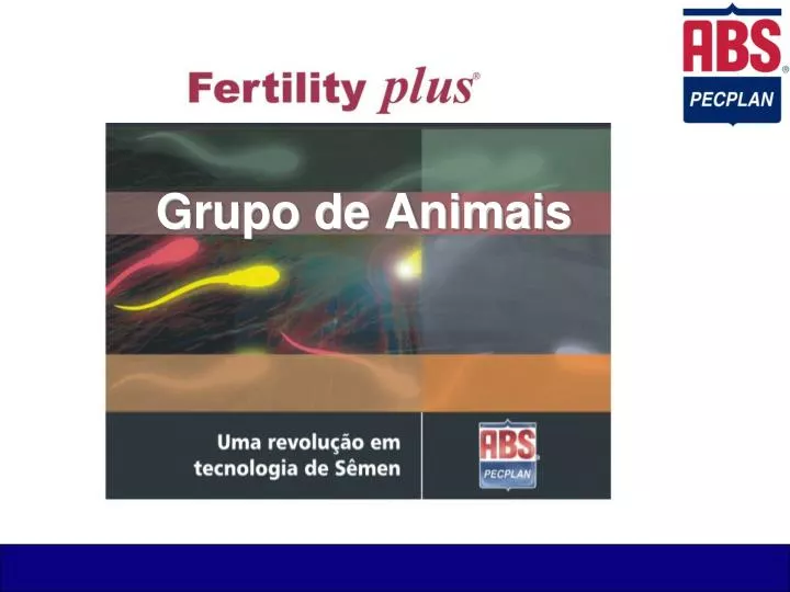 grupo de animais