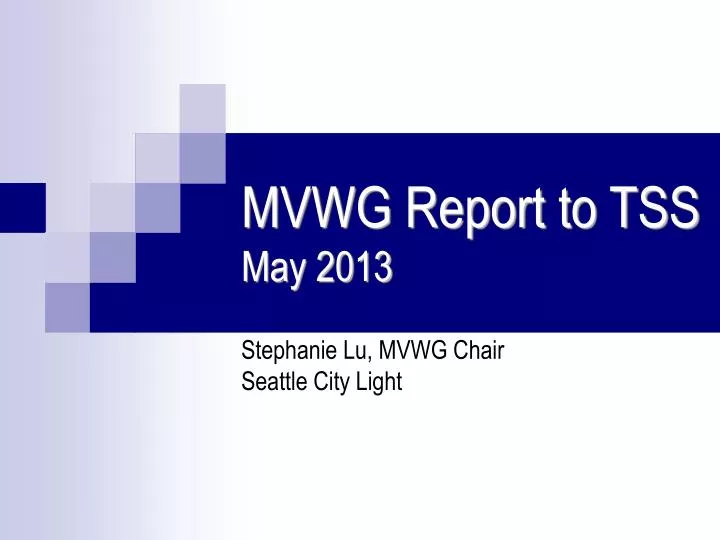 mvwg report to tss may 2013