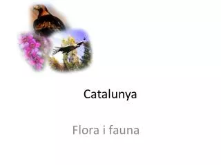 catalunya