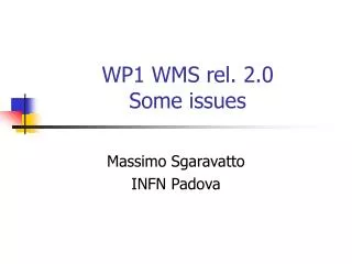 WP1 WMS rel. 2.0 Some issues