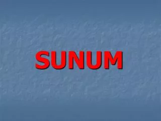 sunum