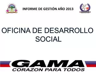 informe de gesti n a o 2013