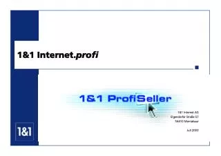 1 1 internet profi